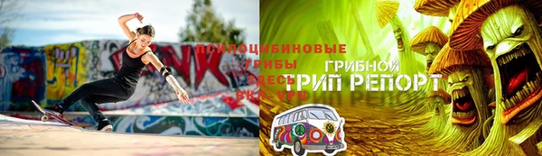 эйфоретик Богородицк